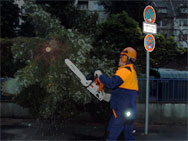 Die Beseitigung eines Baumteiles, das einen Gehweg oder eine Straße versperrt, ist Aufgabe der Feuerwehr.