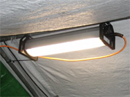 Praxistest als Zeltleuchte: Nach dem Einsatz war die Leuchte verdreckt, ließ sich aber gut reinigen.